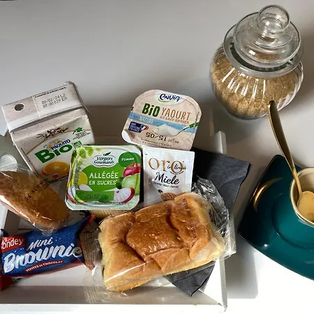 Aux 4 Logis - Le Flore - Petit Dejeuner Offert 1ere Nuit Aparthotel Foix