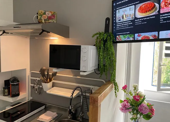 Aux 4 Logis - Le Flore - Petit Dejeuner Offert 1ere Nuit 3* Foix