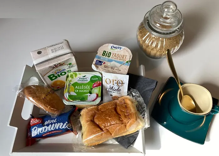 Aux 4 Logis - Le Flore - Petit Dejeuner Offert 1ere Nuit Apartmanhotel Foix