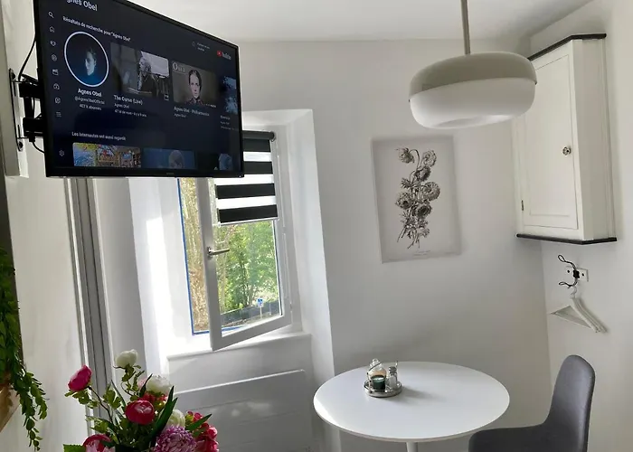 Aux 4 Logis - Le Flore - Petit Dejeuner Offert 1ere Nuit Foix