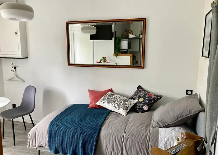 Aux 4 Logis - Le Flore - Petit Dejeuner Offert 1ere Nuit Foix